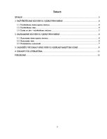 Referāts 'Pašvērtējums un saskarsmes fenomens jauniešu vecuma posmā no 16 līdz 18 gadiem', 2.