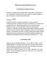 Referāts 'Pašvērtējums un saskarsmes fenomens jauniešu vecuma posmā no 16 līdz 18 gadiem', 4.