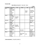 Referāts 'Pašvērtējums un saskarsmes fenomens jauniešu vecuma posmā no 16 līdz 18 gadiem', 13.