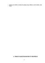 Prakses atskaite 'Skolas attīstības plāns', 17.