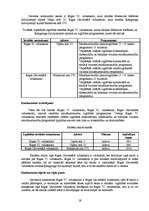 Prakses atskaite 'Skolas attīstības plāns', 19.