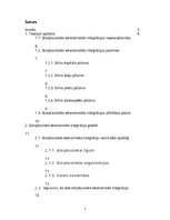 Referāts 'Starptautiskā ekonomiskā integrācija:nepieciešamība, formas, attīstības posmi', 2.