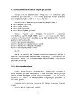 Referāts 'Starptautiskā ekonomiskā integrācija:nepieciešamība, formas, attīstības posmi', 9.