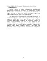 Referāts 'Starptautiskā ekonomiskā integrācija:nepieciešamība, formas, attīstības posmi', 20.