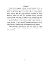 Referāts 'Dižrenesanses krāsu meistars Ticiāns Večelio', 10.