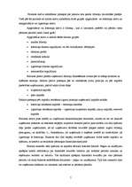 Referāts 'Uzņēmuma "Ekselence-R" finanšu analīze', 5.