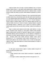 Referāts 'Uzņēmuma "Ekselence-R" finanšu analīze', 7.