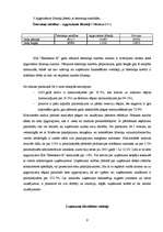 Referāts 'Uzņēmuma "Ekselence-R" finanšu analīze', 9.