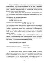 Referāts 'Uzņēmuma "Ekselence-R" finanšu analīze', 17.