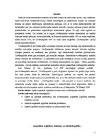 Referāts 'Augstākās izglītības nozīmē cilvēkkapitāla attīstībā', 3.