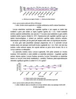 Referāts 'Augstākās izglītības nozīmē cilvēkkapitāla attīstībā', 7.