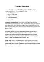 Diplomdarbs 'Ēdināšanas pakalpojumu ieviešanas izvērtējums viesu namā "Dubultmuiža"', 28.