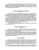 Referāts 'Rīgas Valsts 1.ģimnāzija', 7.