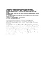 Konspekts 'Konstitucionālo tiesību eksāmena jautājumu atbildes', 4.