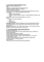 Konspekts 'Konstitucionālo tiesību eksāmena jautājumu atbildes', 19.