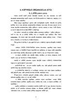 Referāts 'Eiropas Savienības kopējā lauksaimniecības politika', 8.