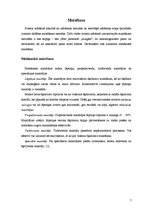 Referāts 'Maisīšanas tehnoloģijas un to nozīme sviesta ražošanā', 7.