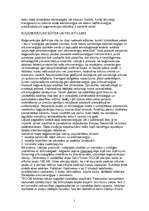 Referāts 'Enerģētika', 2.