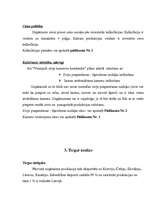 Referāts 'Biznesa plāna teorētiskā daļa', 4.