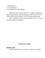 Referāts 'Biznesa plāna teorētiskā daļa', 6.