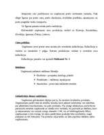 Referāts 'Biznesa plāna teorētiskā daļa', 7.