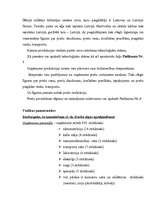 Referāts 'Biznesa plāna teorētiskā daļa', 11.