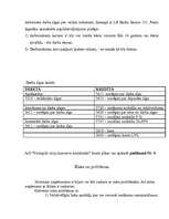 Referāts 'Biznesa plāna teorētiskā daļa', 13.