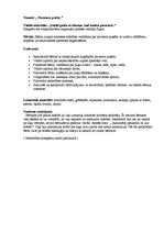 Prakses atskaite 'Prakses atskaite', 11.