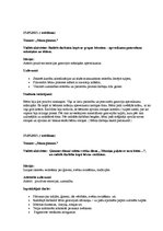 Prakses atskaite 'Prakses atskaite', 18.