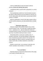 Biznesa plāns 'Biznesa plāns', 4.