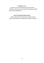 Biznesa plāns 'Biznesa plāns', 6.