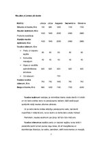 Biznesa plāns 'Biznesa plāns', 7.