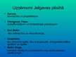 Prezentācija 'BTA apdrošināšanas perspektīvas Jelgavā, Olainē un Jelgavas rajonā. Konkurence a', 17.