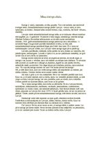 Eseja 'Mans karoga stāsts', 1.