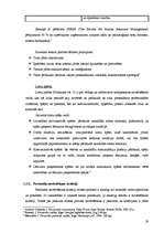 Diplomdarbs 'Personāla atlase uzņēmumā SIA "TVA"', 29.