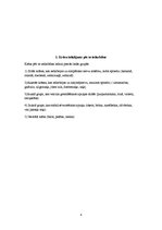 Referāts 'Krāsu terapija pirtī', 6.