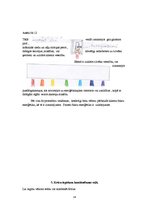 Referāts 'Krāsu terapija pirtī', 14.