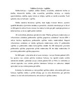 Eseja 'Valdības funkcija - izglītība', 1.