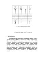 Konspekts 'Termiskā apstrāde', 8.