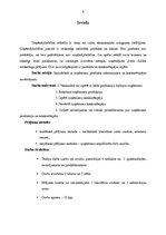 Prakses atskaite 'SIA "Stilgras" produkta raksturojums un konkurētspējas novērtējums', 4.