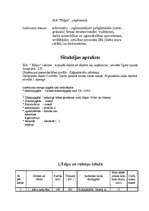 Referāts 'Darba drošība. Ugunsdrošība uzņēmumā', 3.