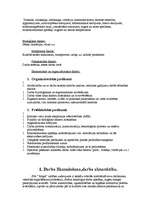 Referāts 'Darba drošība. Ugunsdrošība uzņēmumā', 14.