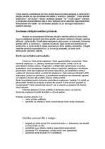 Referāts 'Darba drošība. Ugunsdrošība uzņēmumā', 17.