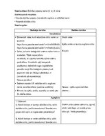 Konspekts 'Nodarbību plāns 4.klasei Dabaszinībās', 1.