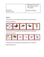 Konspekts 'Nodarbību plāns 4.klasei Dabaszinībās', 3.