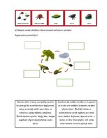Konspekts 'Nodarbību plāns 4.klasei Dabaszinībās', 4.