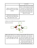Konspekts 'Nodarbību plāns 4.klasei Dabaszinībās', 5.