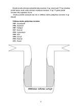 Referāts 'Vēlēšanu tiesību reformas jaunājos laikos', 8.