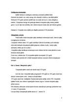 Referāts 'Olimpiskās spēles', 6.