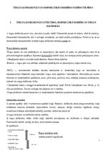 Konspekts 'Konkurences tiesību regulējums Eiropas Savienībā', 1.